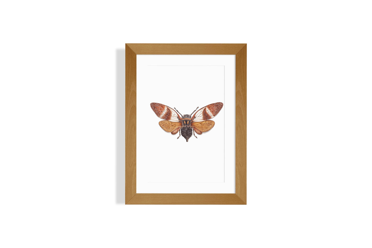 Angamiana Floridula Art Print